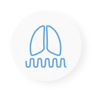 files/live-breathing-icon_3x_f3de702a-615d-4b38-8500-bcec5eed2980.png